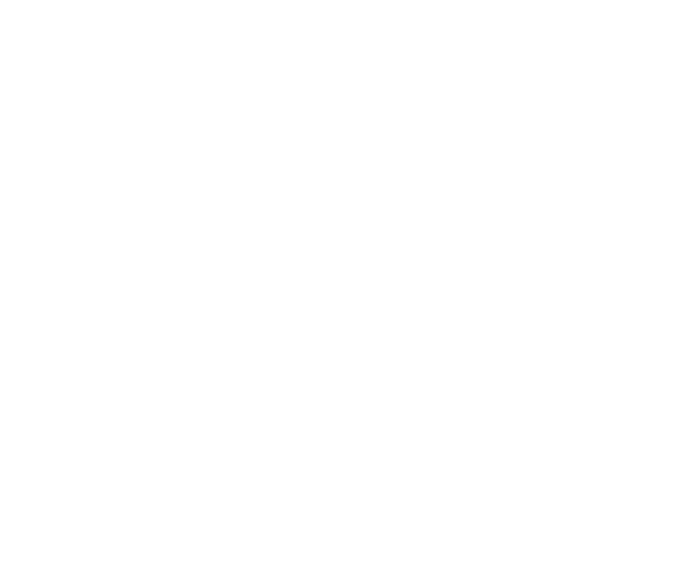 EC ライティング セレクション