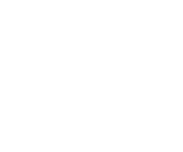 トゥーリ
